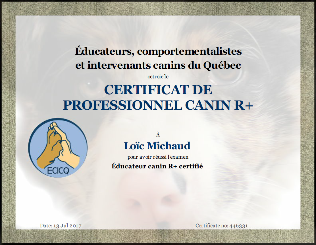 certificat Quebec