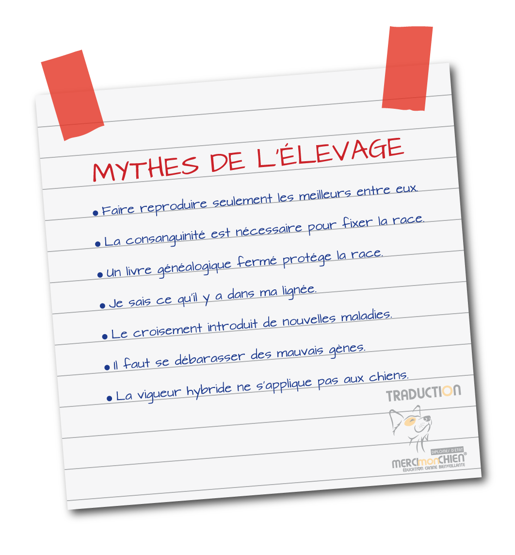 mythe de l elevage 1b