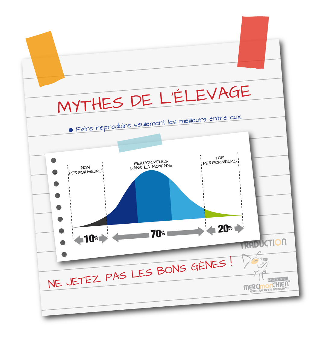 mythe de l elevage 2b