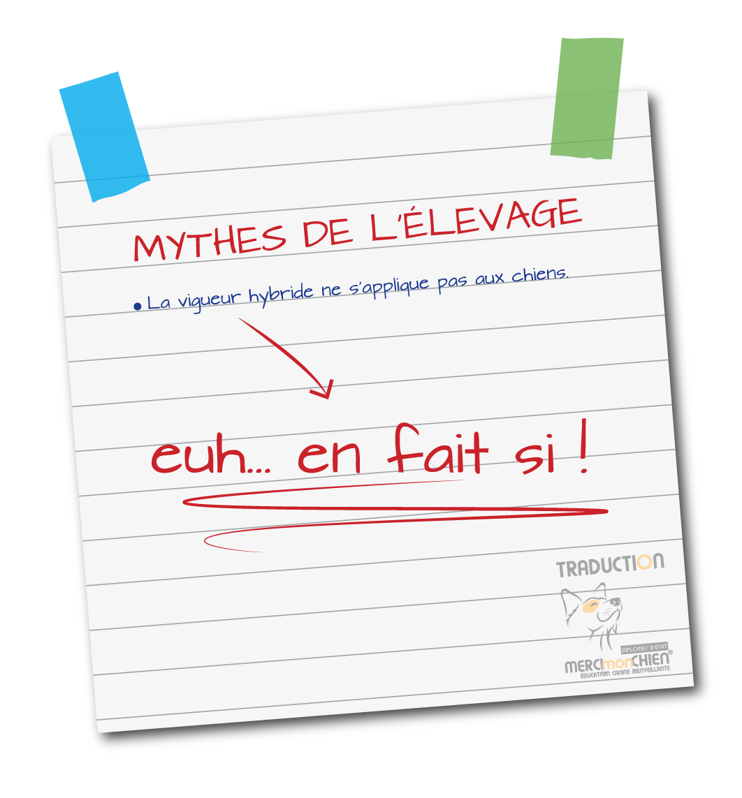 mythe de l elevage 5b