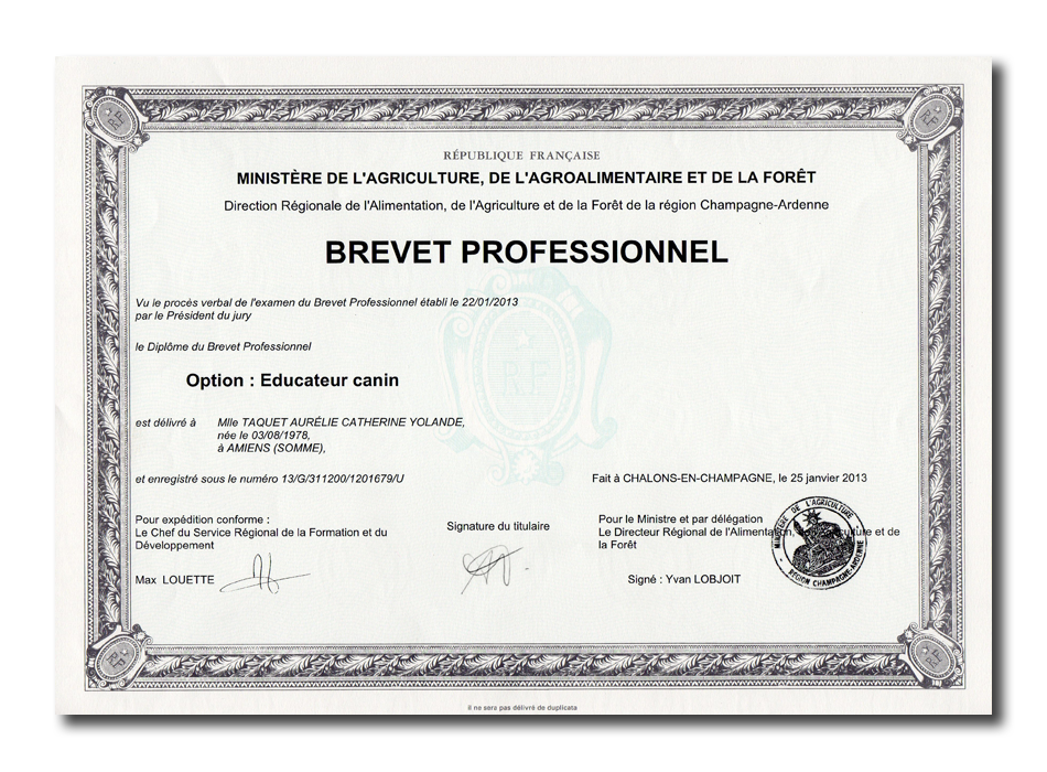 Diplome BP Aurélie